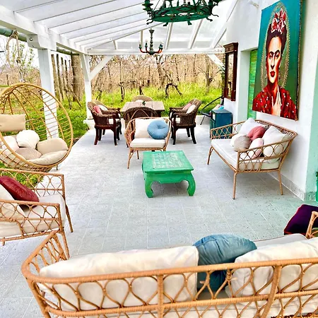 Frida House At Balaton *
